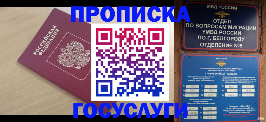 прописка законно в Муравленко